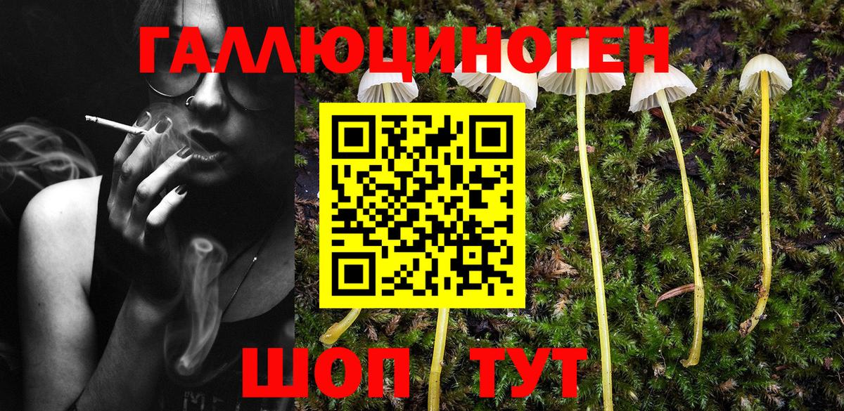 Галлюциногенные грибы прущие грибы  Галлюциногенные грибы GOLDEN TEACHER  Вход с VPN  наркотики  Губаха 