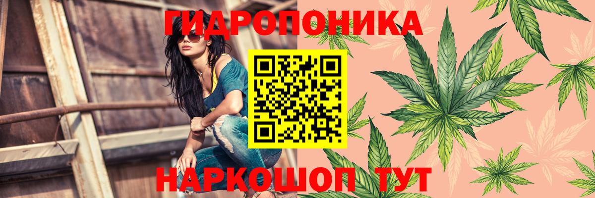 Каннабис тримм Губаха